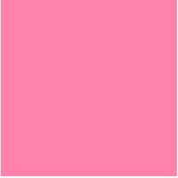 Fondale in Carta Carnation Pink 17  F-System 2,72x10m